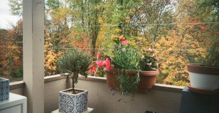 jakie doniczki na balkon