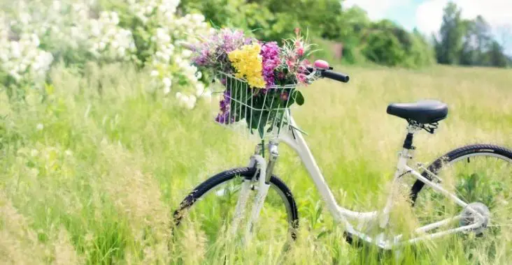 bicycle, meadow, flowers