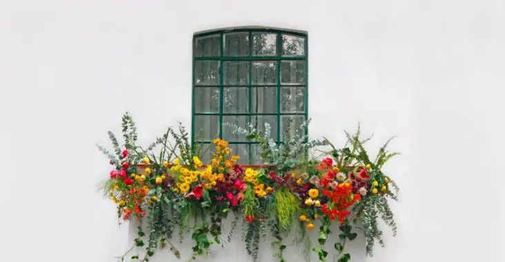 A balcony with hanging flowers and plants